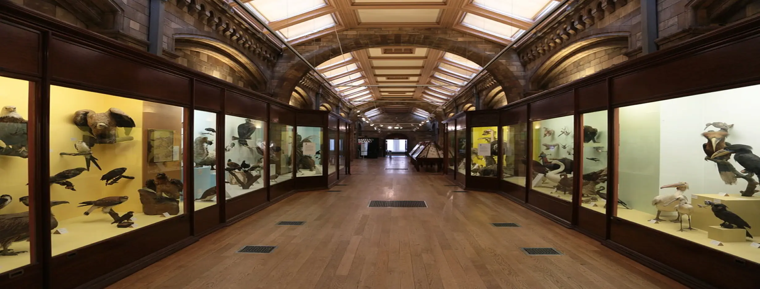 Image for Historical Museums